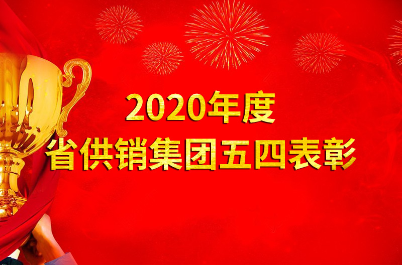 2020年度省DB旗舰集团五四表彰