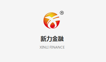安徽新力金融股份有限公司