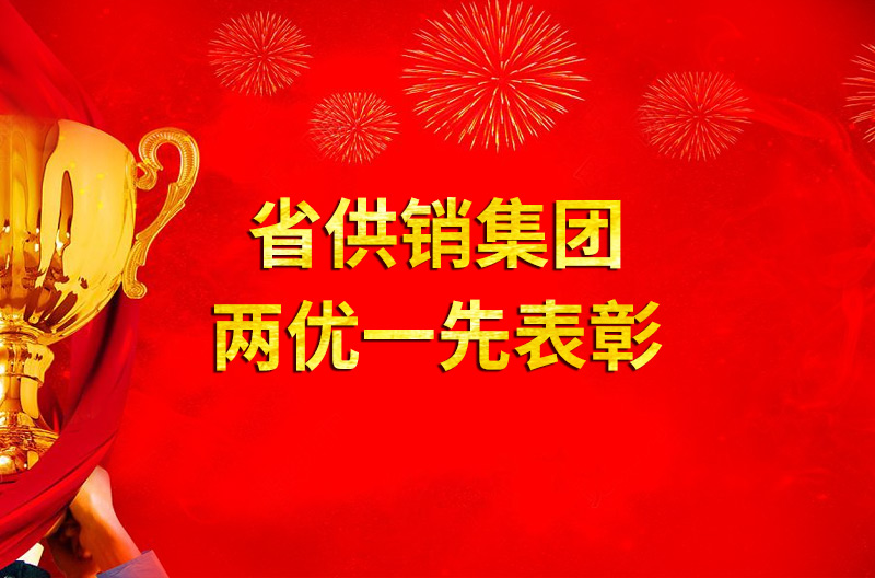 关于表彰安徽省DB旗舰集团有限公司 “优秀共产党员、优秀党务工作者和先进基层党组织”的决定