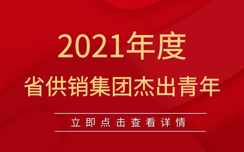 2021年度省DB旗舰集团杰出青年