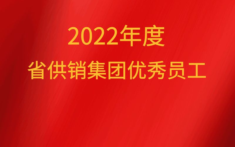 2022年度省DB旗舰集团优秀员工