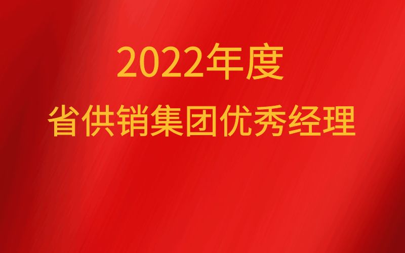 2022年度省DB旗舰集团优秀经理
