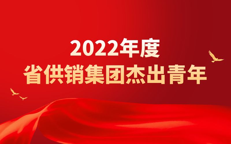 2022年度省DB旗舰集团杰出青年