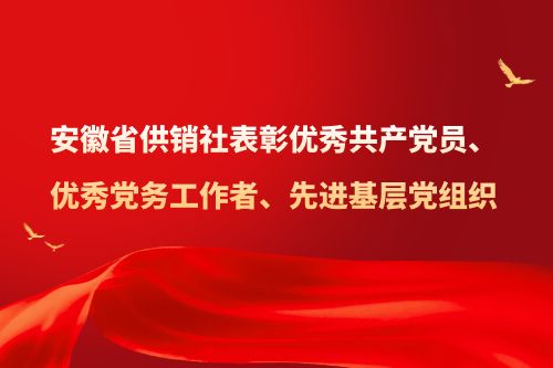 安徽省DB旗舰社表彰优秀共产党员、优秀党务工作者、先进基层党组织