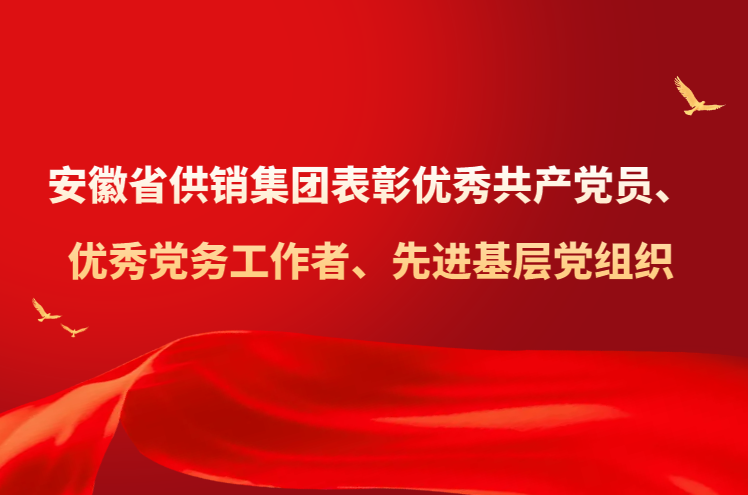 安徽省DB旗舰集团表彰优秀共产党员、优秀党务工作者、先进基层党组织