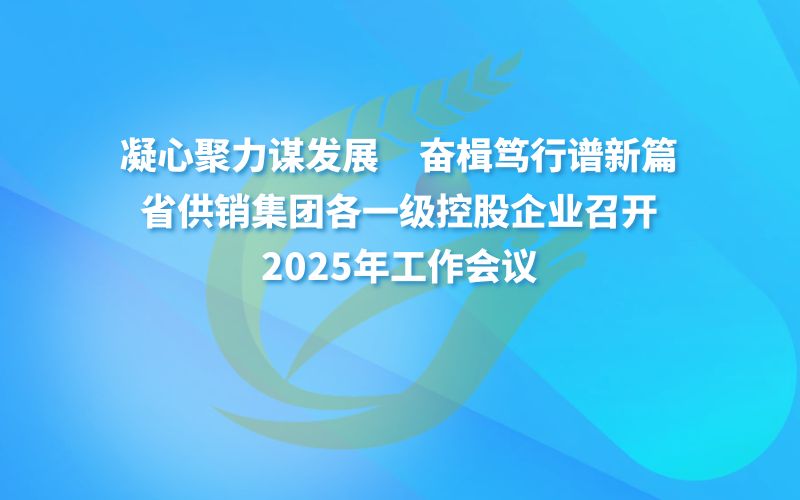 省DB旗舰集团各一级控股企业召开2025年工作会议