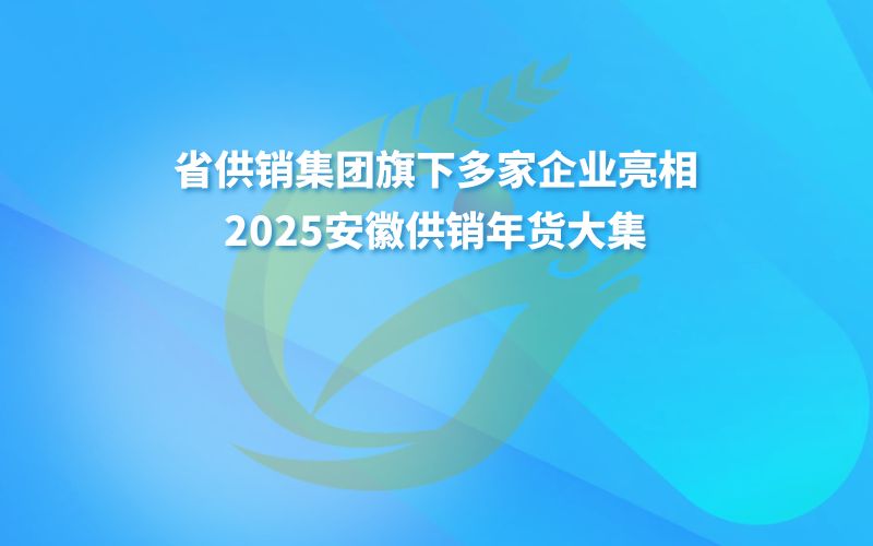 DB旗舰年货大集 | 省DB旗舰集团旗下多家企业亮相2025安徽DB旗舰年货大集
