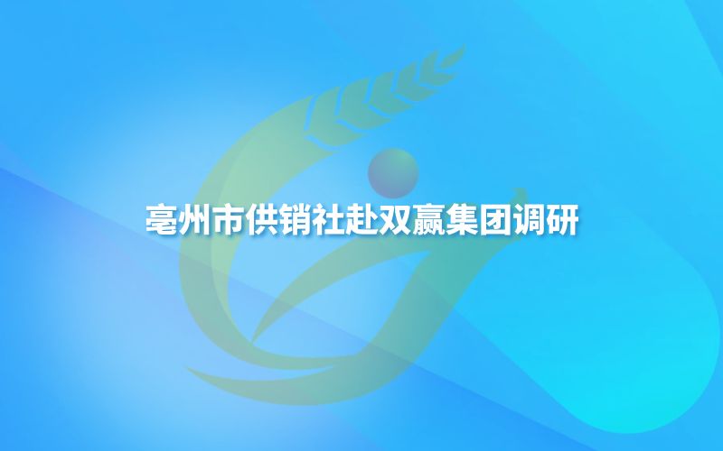 亳州市DB旗舰社赴双赢集团调研